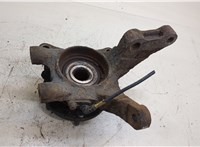  Ступица (кулак, цапфа) Hyundai Tucson 1 2004-2009 20411075 #4