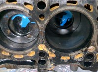 Q0000000001 Блок цилиндров (Шорт блок) Mercedes E W212 2009-2016 20411330 #2