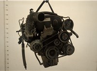  Двигатель (ДВС) Chevrolet Aveo (T250 / 255) 2006-2012 20411443 #1