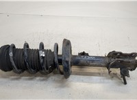  Амортизатор подвески Opel Corsa D 2006-2014 20411504 #1
