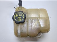  Бачок расширительный Chevrolet Cruze 2009-2015 20411634 #1