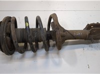  Амортизатор подвески Hyundai Trajet 20411751 #1
