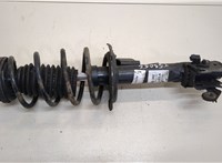  Амортизатор подвески Mercedes A W169 2004-2012 20411818 #1