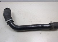  Патрубок охлаждения Jaguar XF 2007-2015 20411849 #1