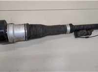  Амортизатор подвески Mercedes S W221 2005-2013 20411897 #1
