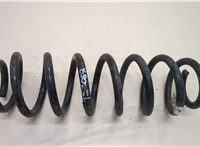 Пружина подвески Volkswagen Tiguan 2016-2020 20411963 #1