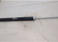  Амортизатор подвески Ford Focus 2 2008-2011 20411964 #1