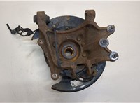  Ступица (кулак, цапфа) KIA Sorento (Prime) 2014-2017 20412022 #1