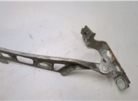  Петля капота Opel Zafira B 2005-2012 20412088 #1