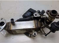 11717810871 Клапан рециркуляции газов (EGR) BMW 3 E90, E91, E92, E93 2005-2012 20412384 #5
