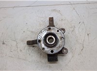  Ступица (кулак, цапфа) Nissan Note E11 2006-2013 20412488 #1