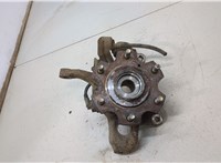  Ступица (кулак, цапфа) Mitsubishi Pajero / Montero 2000-2006 20412540 #1