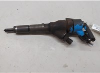 1980H8, 0445110076 Форсунка топливная Peugeot 406 1999-2004 20412632 #1