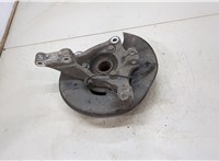 308245, 13219080, 328042, 13507374 Ступица (кулак, цапфа) Opel Insignia 2008-2017 20412698 #2
