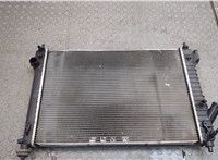  Радиатор охлаждения двигателя Chevrolet Aveo (T250 / 255) 2006-2012 20412742 #1