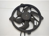 1250G4 Вентилятор радиатора Citroen C5 2001-2004 20413205 #1