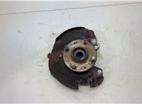  Ступица (кулак, цапфа) KIA Picanto 2004-2011 20413221 #1