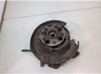 Ступица (кулак, цапфа) Lexus RX 2003-2009 20413228 #1
