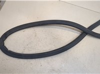  Уплотнитель Volkswagen Tiguan 2016-2020 20413615 #1