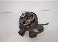  Ступица (кулак, цапфа) Lexus RX 2003-2009 20413718 #1