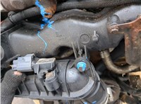 1709003, 1749287, 9C1Q6006AA Двигатель (ДВС) Ford Transit 2006-2014 20414532 #9