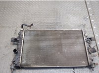  Радиатор охлаждения двигателя Opel Zafira B 2005-2012 20414730 #1