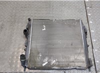  Радиатор охлаждения двигателя Renault Kangoo 2008-2013 20414780 #1