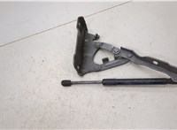  Петля капота KIA Sorento (Prime) 2014-2017 20415108 #2