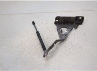  Петля капота KIA Sorento (Prime) 2014-2017 20415108 #3