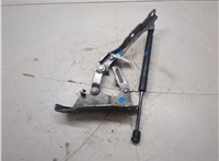 79110C6000 Петля капота KIA Sorento 2014-2017 20415108 #4