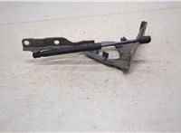  Петля капота KIA Sorento (Prime) 2014-2017 20415110 #3