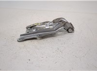  Петля капота Toyota Camry V40 2006-2011 20415221 #2