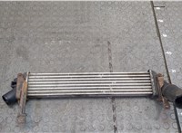  Радиатор интеркулера Renault Kangoo 2008-2013 20415443 #1