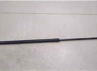  Амортизатор крышки багажника Renault Scenic 2009-2012 20415479 #1