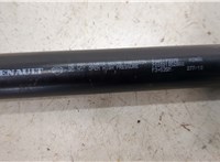 Амортизатор крышки багажника Renault Scenic 2009-2012 20415479 #2