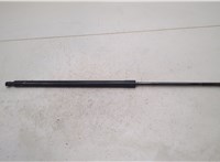 Амортизатор крышки багажника Renault Scenic 2009-2012 20415483 #1
