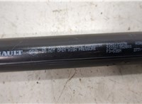  Амортизатор крышки багажника Renault Scenic 2009-2012 20415483 #2