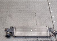  Радиатор интеркулера Nissan Primera P12 2002-2007 20415516 #1