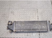  Радиатор интеркулера Nissan Primera P12 2002-2007 20415516 #4