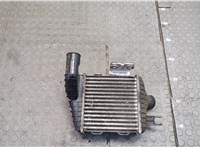  Радиатор интеркулера Hyundai Tucson 1 2004-2009 20415586 #1
