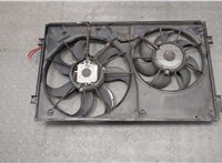  Вентилятор радиатора Skoda Octavia (A5) 2004-2013 20415612 #3