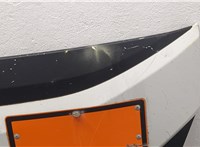 5801690074, 5801690072 Капот Iveco EuroCargo 3 2015- 20416003 #2