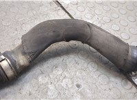  Радиатор интеркулера Audi A6 (C6) Allroad 2006-2011 20416088 #7