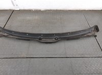  Жабо под дворники (дождевик) BMW X5 E53 2000-2006 20416227 #1