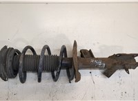  Амортизатор подвески Nissan Qashqai 2006-2013 20416813 #1