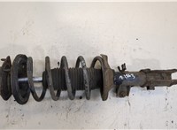  Амортизатор подвески Hyundai Getz 20416842 #1