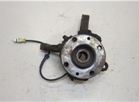  Ступица (кулак, цапфа) Renault Kangoo 2008-2013 20417150 #1