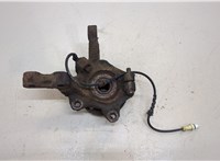  Ступица (кулак, цапфа) Renault Kangoo 2008-2013 20417150 #4