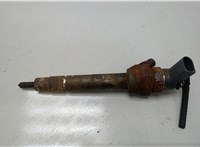 0445110289 Форсунка топливная BMW 1 E87 2004-2011 20418095 #1