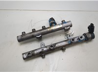  Рампа (рейка) топливная Audi A6 (C6) 2004-2011 20418663 #1